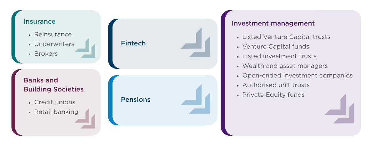 Financial services sector expertise across banking, insurance, investment management, pensions, FinTech, wealth and asset management, private equity and venture capital.